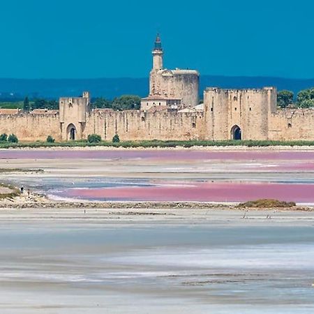 Maison A 800M Des Remparts Aigues-Mortes Luaran gambar