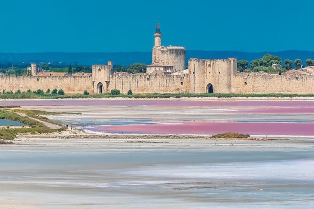 Maison A 800M Des Remparts Aigues-Mortes Luaran gambar